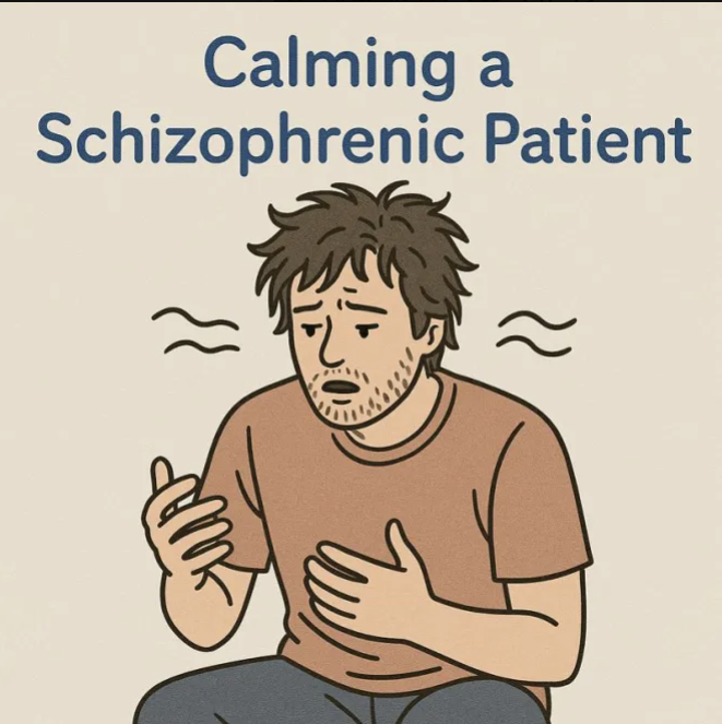 Calming a SCHIZOPHRENIC Patient 